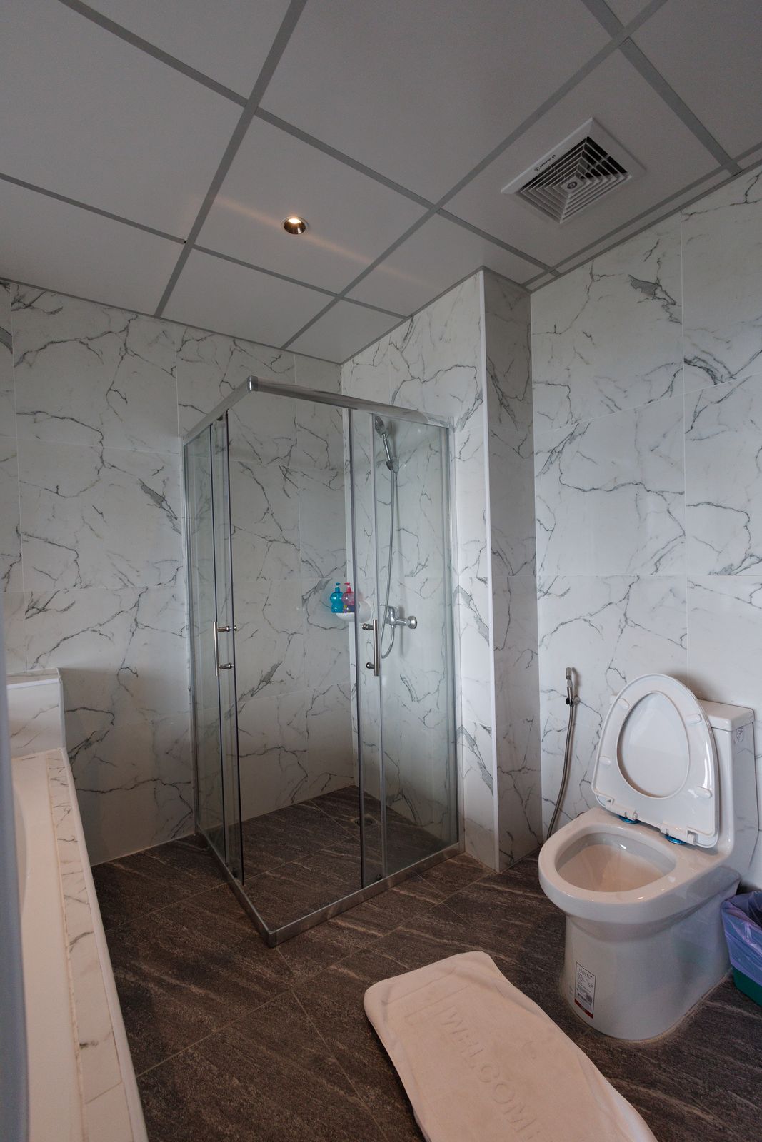 Glass shower and toilet